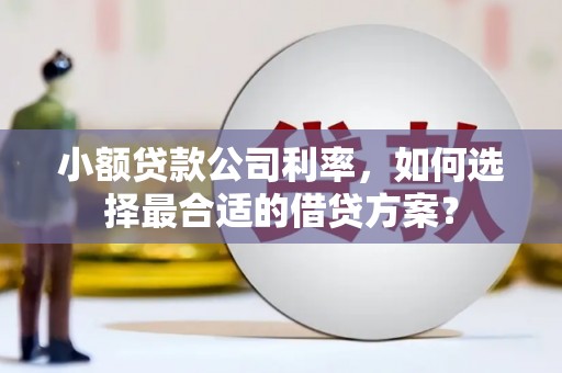 黄埔小额贷款公司利率，如何选择最合适的借贷方案？