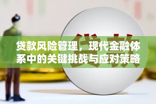 黄埔贷款风险管理，现代金融体系中的关键挑战与应对策略