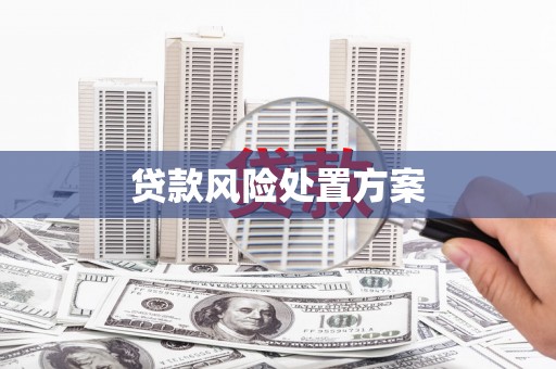黄埔贷款风险处置方案